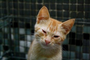 Eureka Bild von Eureka