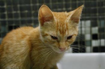 Eureka Bild von Eureka