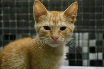 Eureka Bild von Eureka