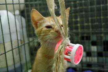 Eureka Bild von Eureka