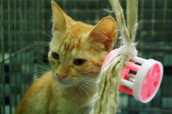 Eureka Bild von Eureka