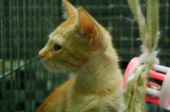 Eureka Bild von Eureka