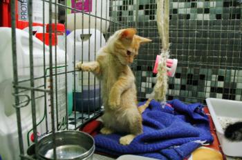 Eureka Bild von Eureka