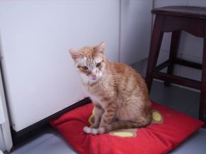 Filomeno Bild von Filomeno