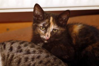 Betty Bild von Betty