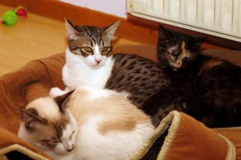 Betty Bild von Betty