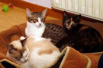Betty Bild von Betty