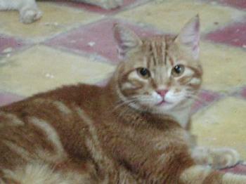 Mingy Bild von Mingy