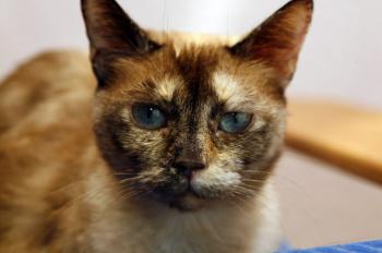 Mitze Bild von Mitze