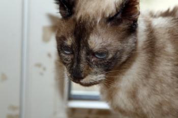 Mitze Bild von Mitze