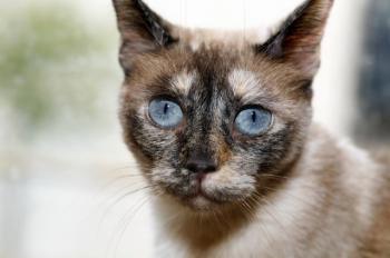 Mitze Bild von Mitze