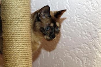 Mitze Bild von Mitze