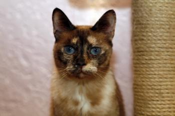 Mitze Bild von Mitze