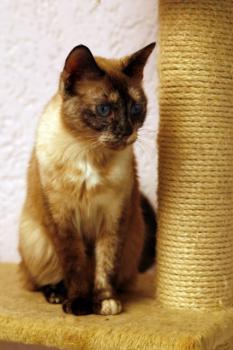 Mitze Bild von Mitze