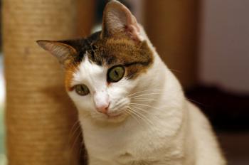 Polly Bild von Polly