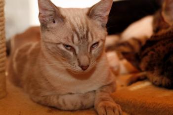 Stuart Bild von Stuart