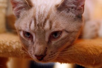 Stuart Bild von Stuart