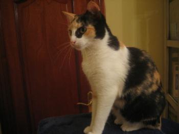 Teresita Bild von Teresita