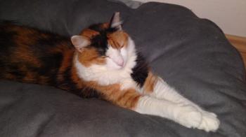 Emely - 4676 Bild von Emely