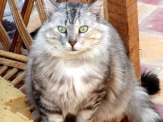 Tina Bild von Tina
