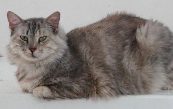 Tina Bild von Tina
