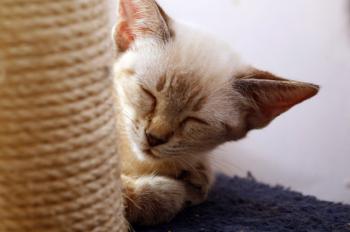 Angela Bild von Angela