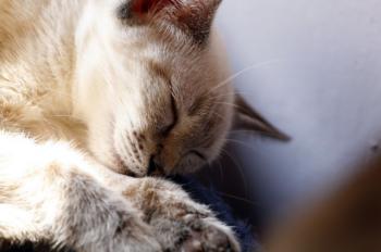 Angela Bild von Angela