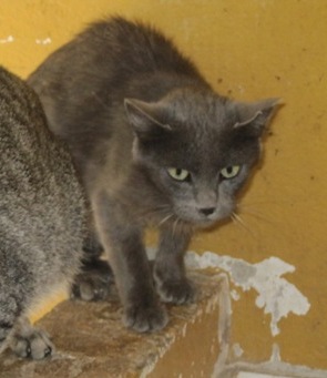 Ohne Namen 4481 Bild von Chiara