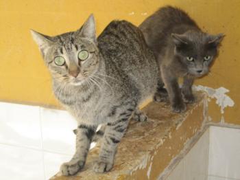 Ohne Namen 4481 Bild von Chiara