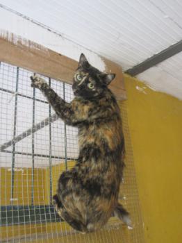 Bild von Sheila