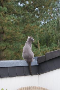 Rainiero Bild von Rainiero