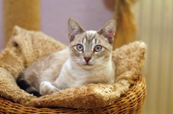 Stuart Bild von Stuart