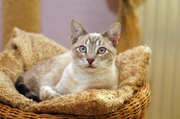 Stuart Bild von Stuart