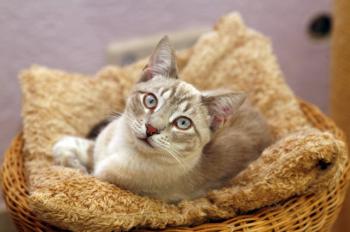 Stuart Bild von Stuart