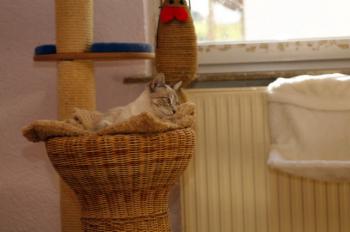 Stuart Bild von Stuart