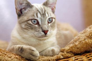 Stuart Bild von Stuart