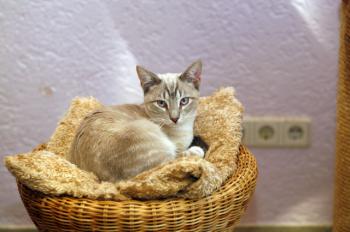 Stuart Bild von Stuart