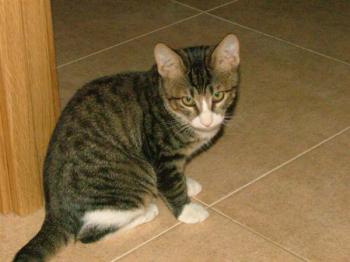 Rayito Bild von Rayito