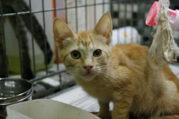 Eureka Bild von Eureka