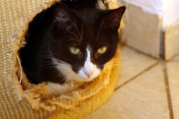 Jerry Bild von Jerry