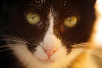 Jerry Bild von Jerry