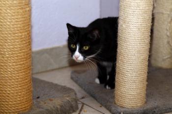 Jerry Bild von Jerry