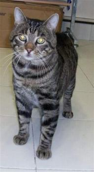 Patxi Bild von Patxi