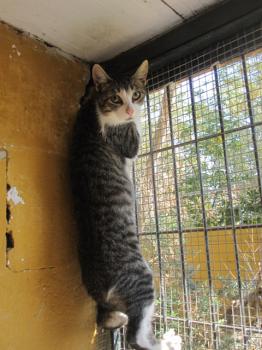 Bild von Tino