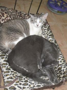 Ramos Bild von Ramos