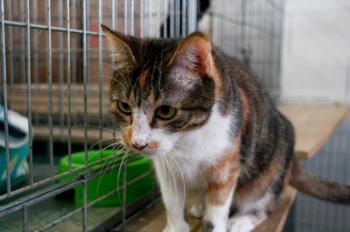 Arizona Baby Bild von Arizona Baby