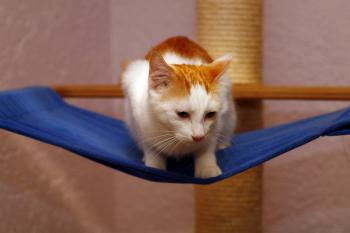 Franny Bild von Franny