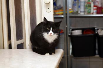 Jerry Bild von Jerry