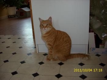 Nena Bild von Nena