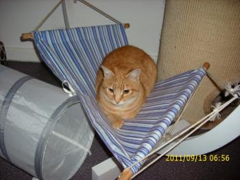 Nena Bild von Nena